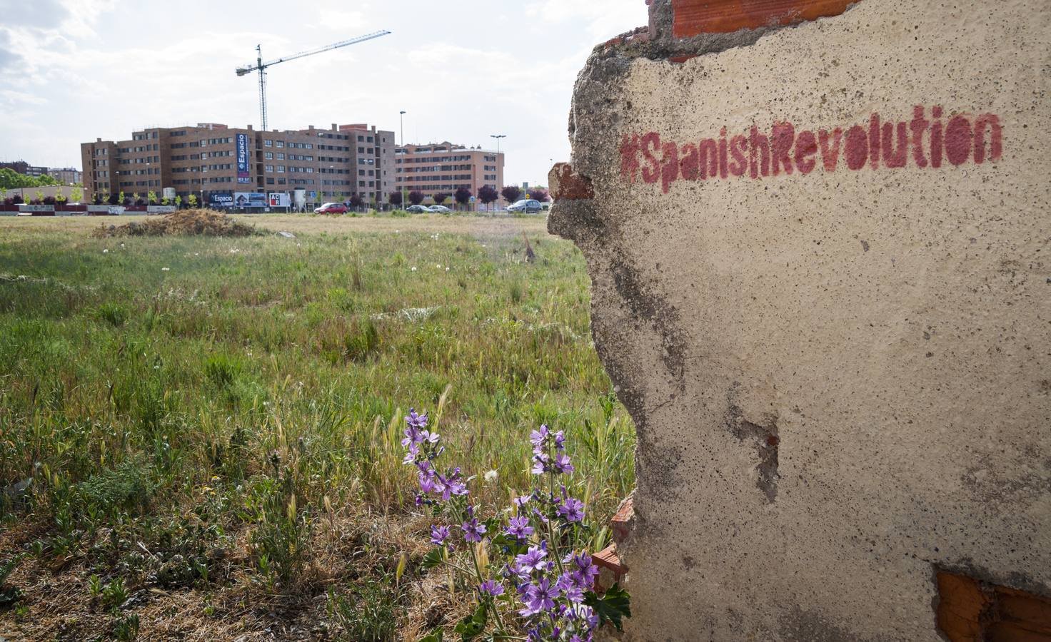 El otro Valladolid (XI): barrio San Pedro Regalado
