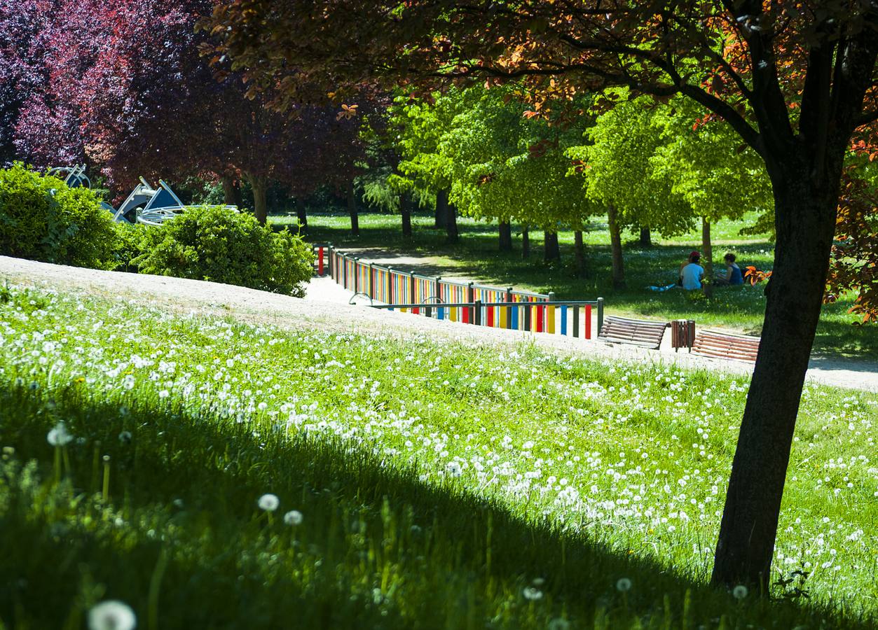 El otro Valladolid (XII): Barrio España