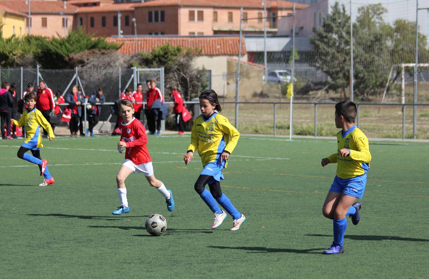 Deporte Base del 29 y 30 de abril. Palencia (1/4)