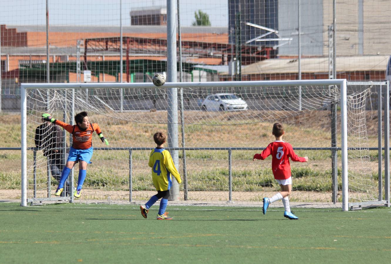 Deporte Base del 29 y 30 de abril. Palencia (1/4)