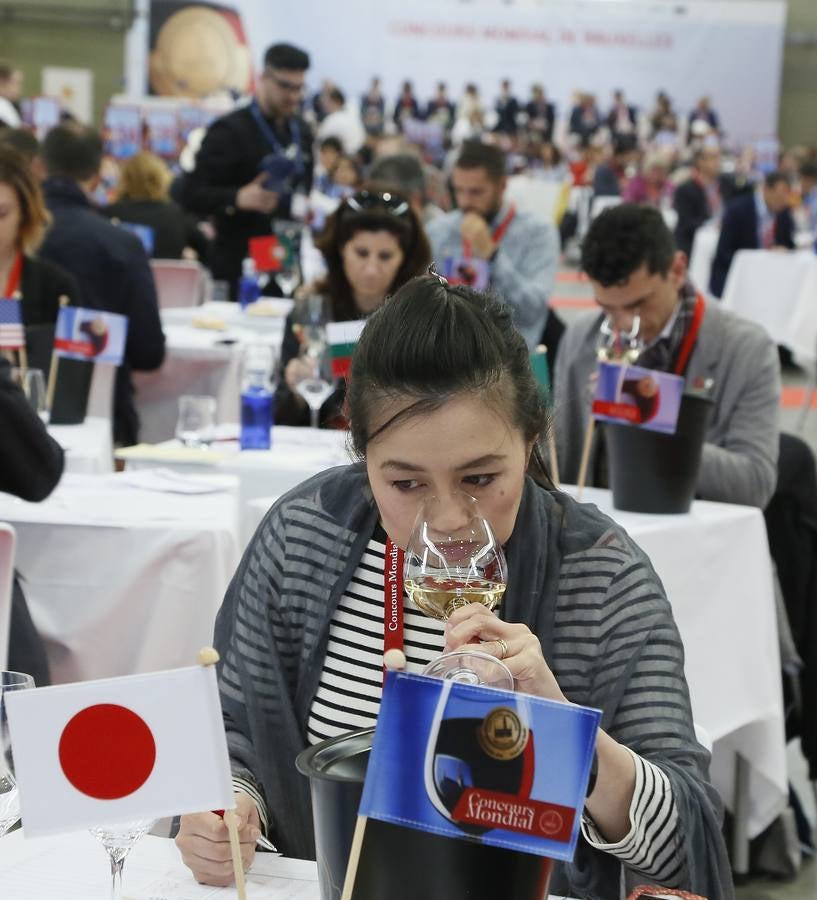 Arrancan en la Feria Internacional de Valladolid las catas a ciegas del Concurso Mundial de Bruselas