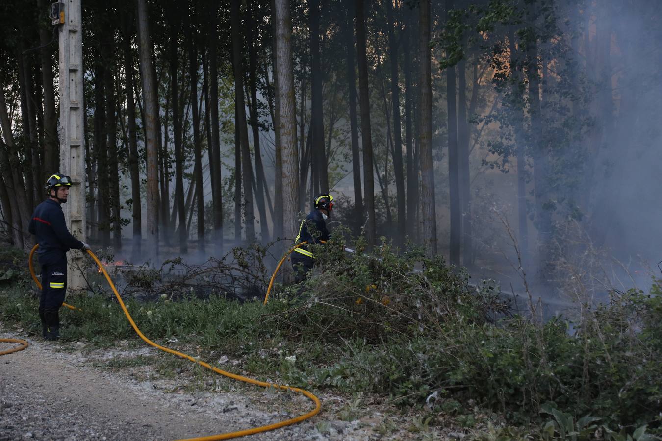 Incendio en la chopera situada junto al puente de Villamuriel de Cerrato (Palencia)