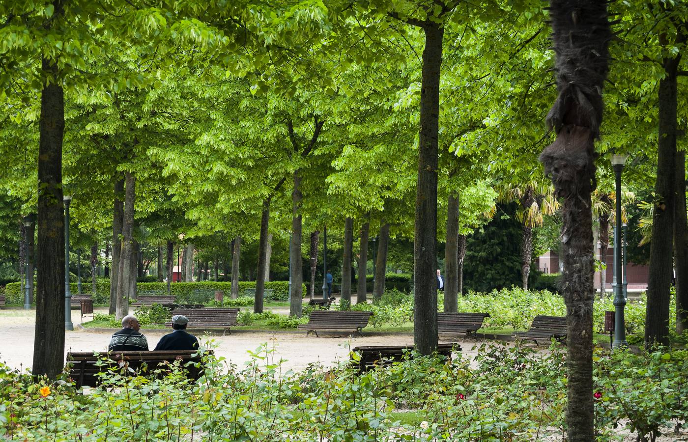 El otro Valladolid XIII: barrio de La Rondilla (1ª parte)