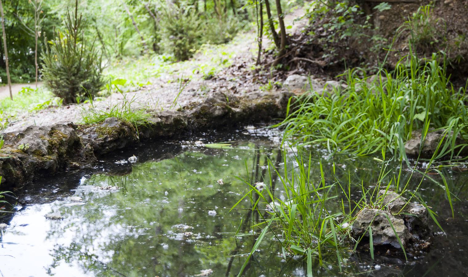 El otro Valladolid XIII: barrio de La Rondilla (1ª parte)