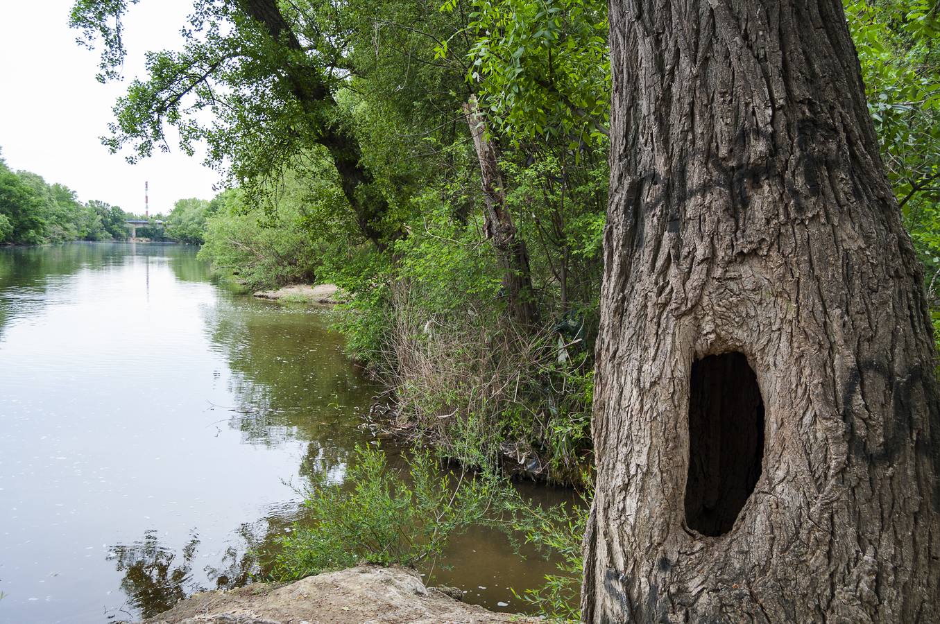 El otro Valladolid XIII: barrio de La Rondilla (1ª parte)