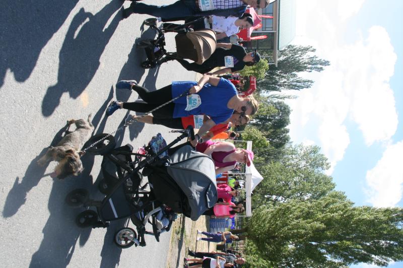 V Carrera Solidaria El Campo en Sanchonuño (2/2)