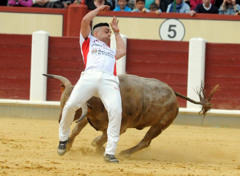 Concurso de Cortes en Valladolid