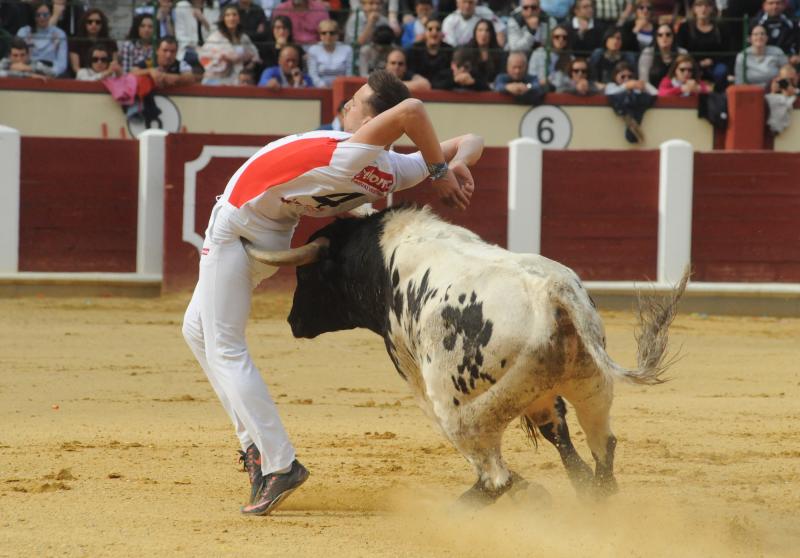 Concurso de Cortes en Valladolid