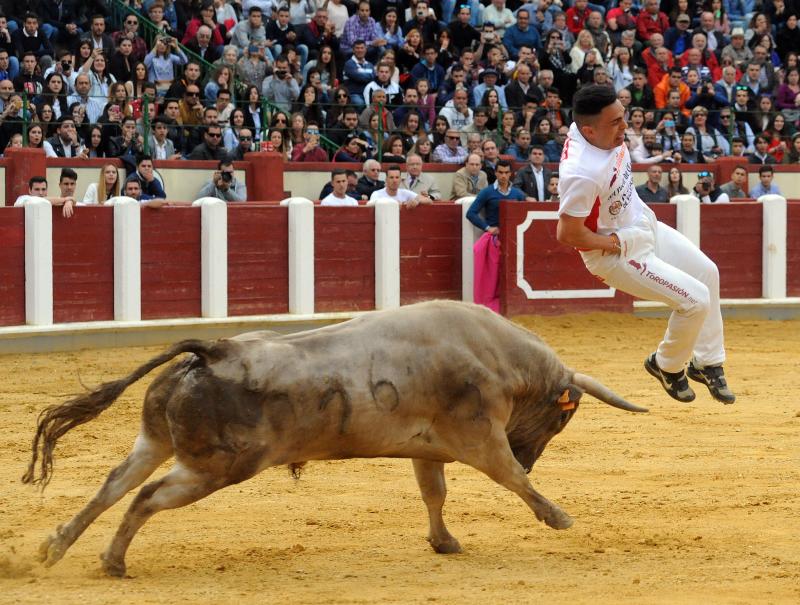 Concurso de Cortes en Valladolid