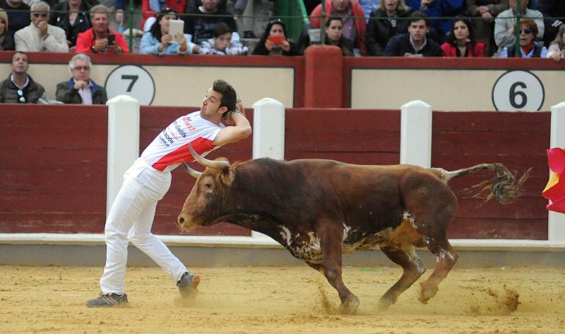 Concurso de Cortes en Valladolid