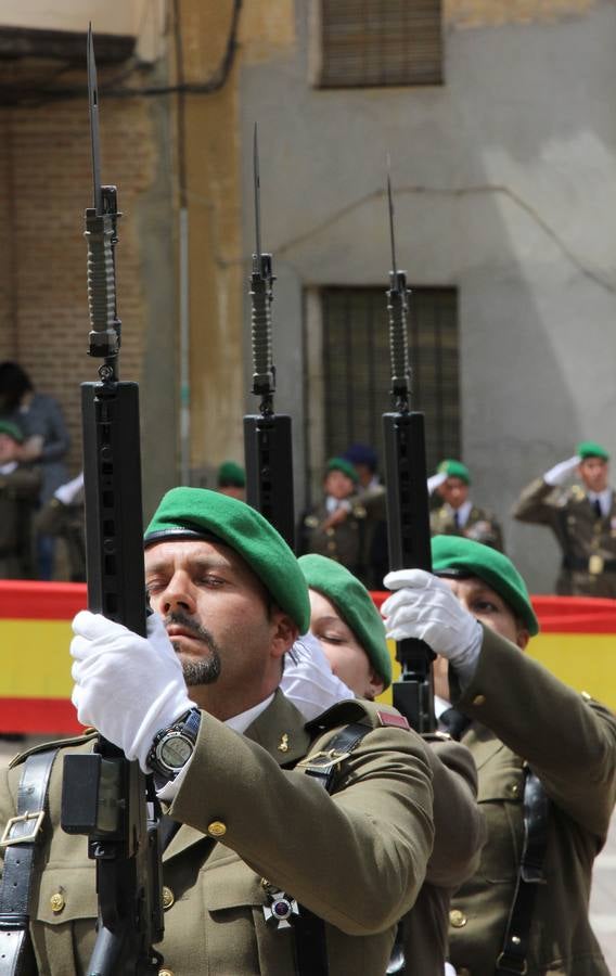 Paredes de Nava rinde honores a las Fuerzas Armadas (1/2)