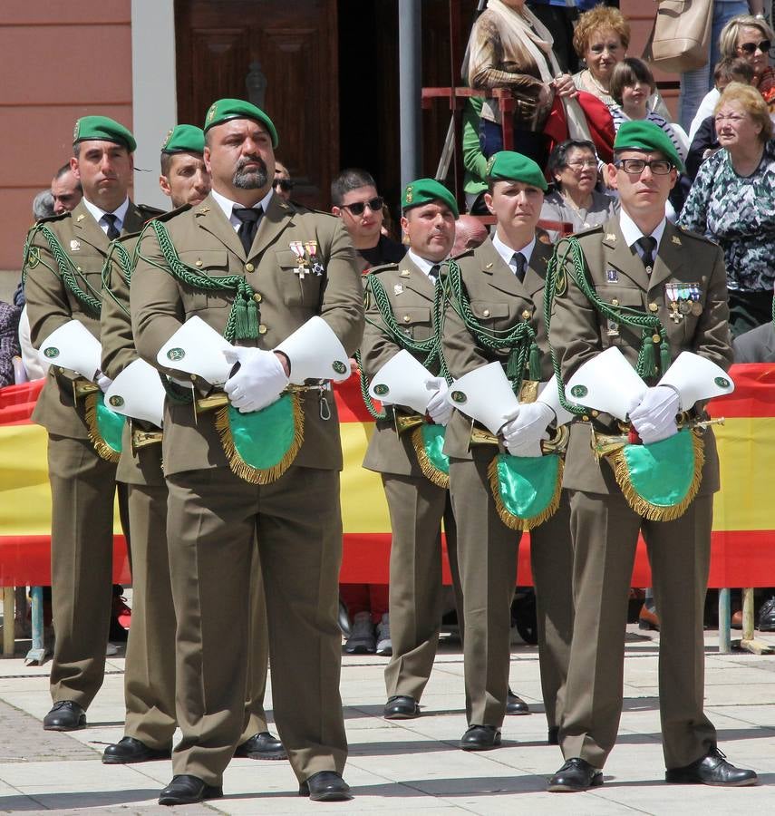 Paredes de Nava rinde honores a las Fuerzas Armadas (1/2)