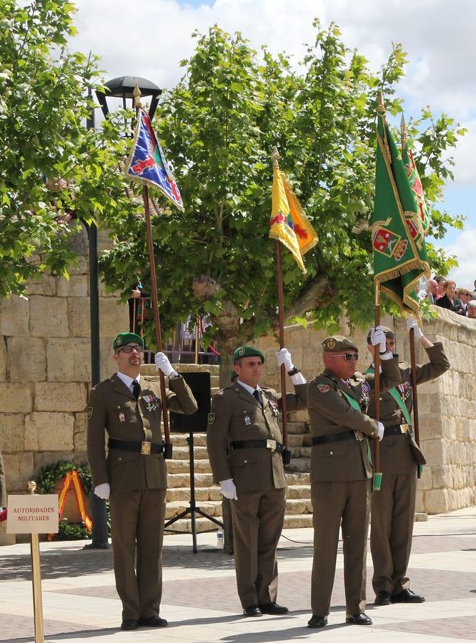 Paredes de Nava rinde honores a las Fuerzas Armadas (1/2)