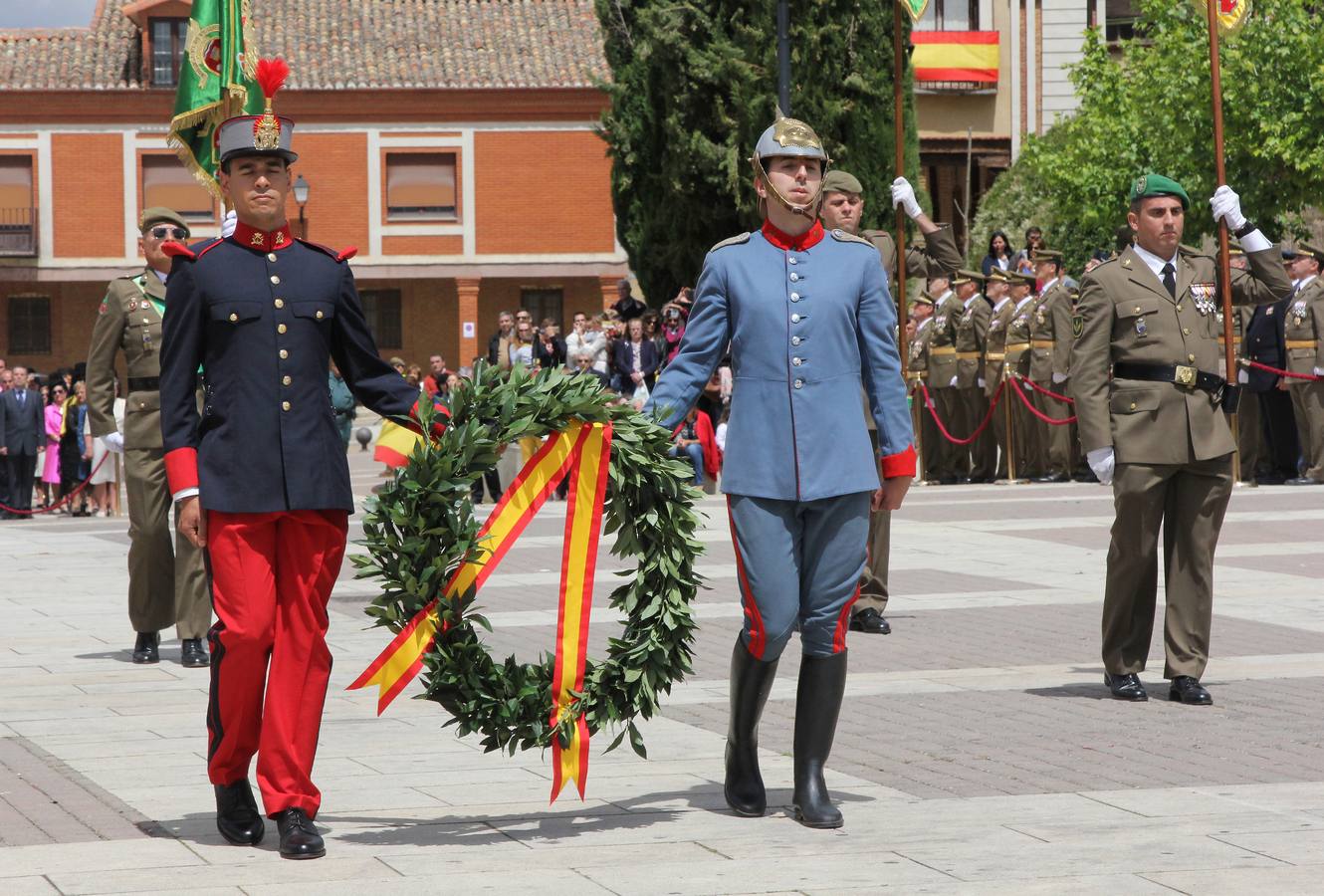 Paredes de Nava rinde honores a las Fuerzas Armadas (1/2)