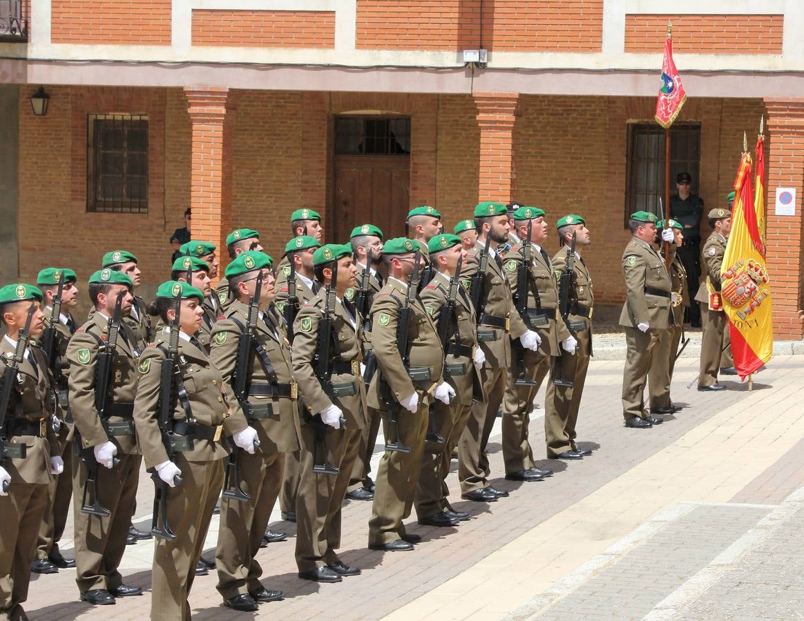 Paredes de Nava rinde honores a las Fuerzas Armadas (1/2)