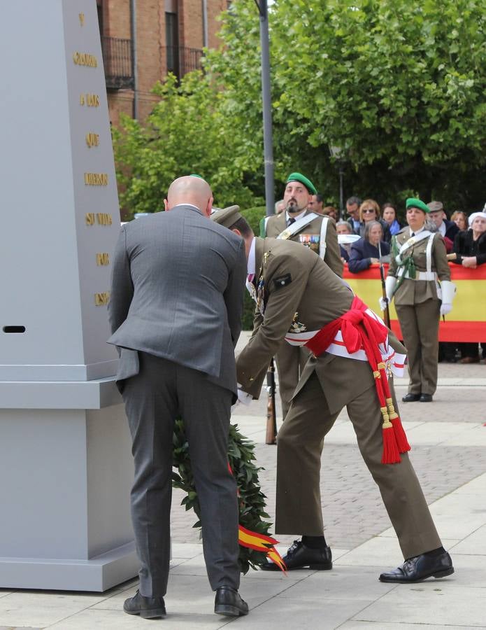 Paredes de Nava rinde honores a las Fuerzas Armadas (1/2)