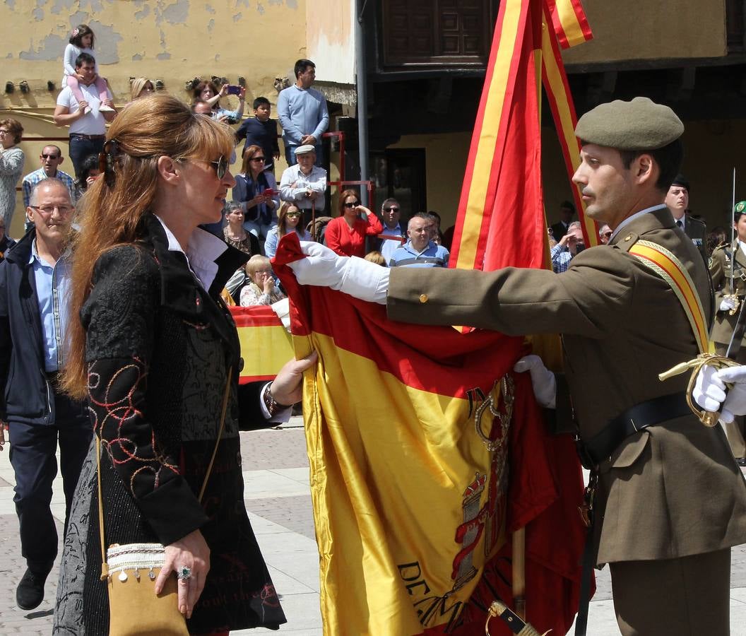 Paredes de Nava rinde honores a las Fuerzas Armadas (2/2)