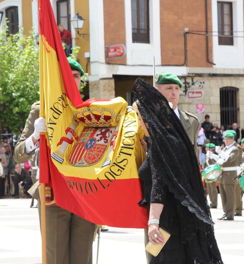 Paredes de Nava rinde honores a las Fuerzas Armadas (2/2)