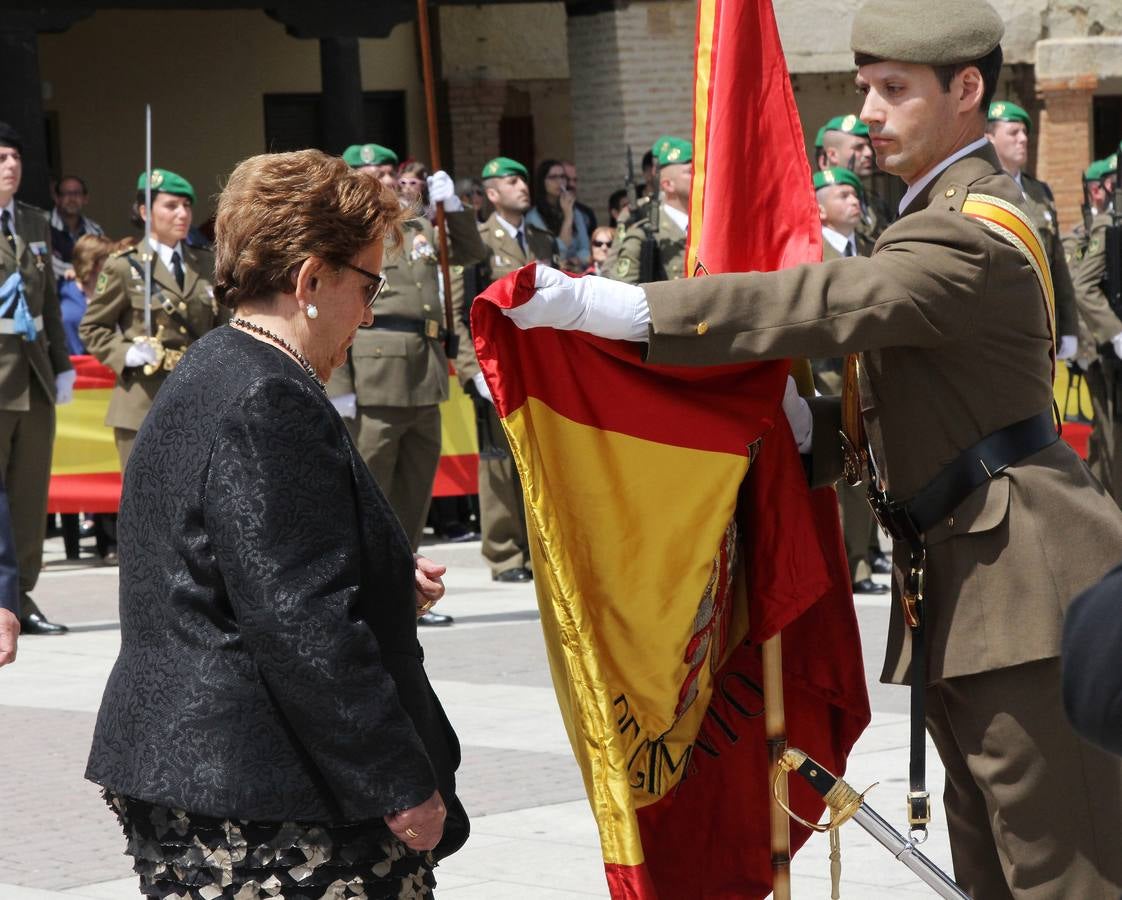 Paredes de Nava rinde honores a las Fuerzas Armadas (2/2)