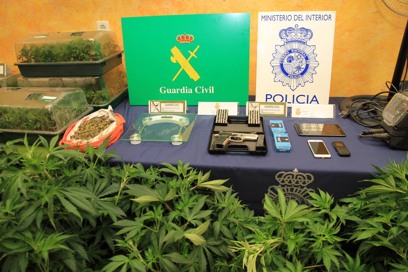 Droga y material incautado en la operación &#039;Oriental-Gupy&#039; en Segovia