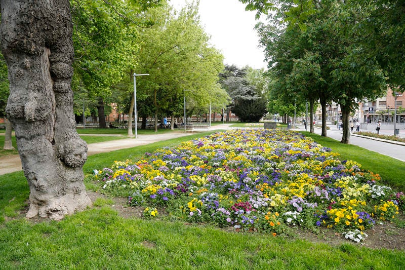 El otro Palencia X: parque del Salón de Isabel II