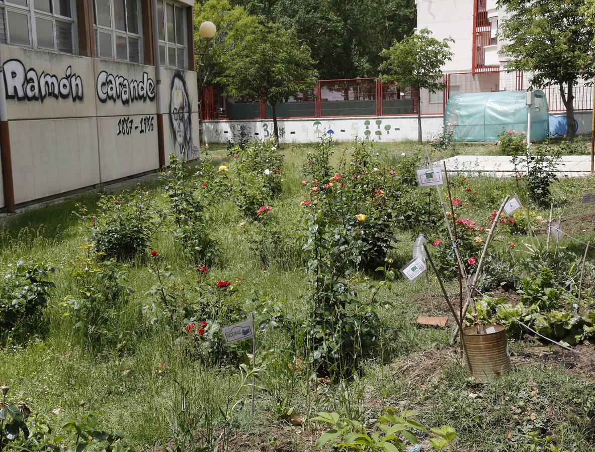 Así es el colegio Ramón Carande de Palencia