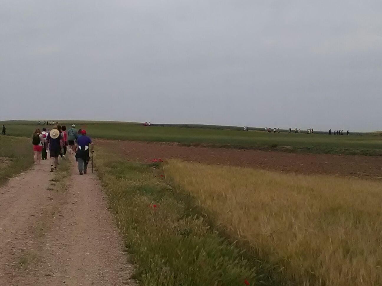 II Marcha solidaria en Mucientes a favor de la ONG Anawin