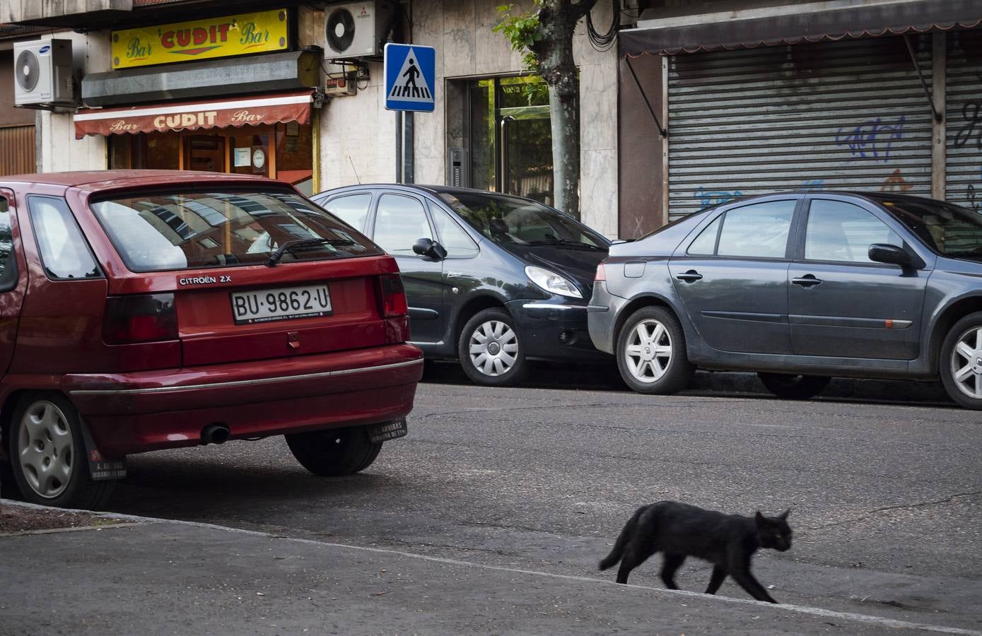 El otro Valladolid XV: barrio de La Pilarica (2ª parte)