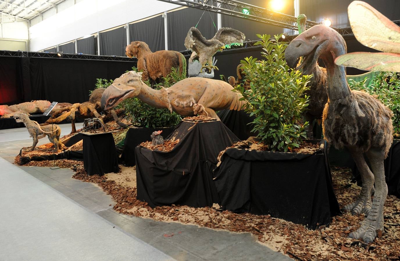 La exposición de &#039;Cuarto Milenio&#039; aterriza en la Feria de Valladolid