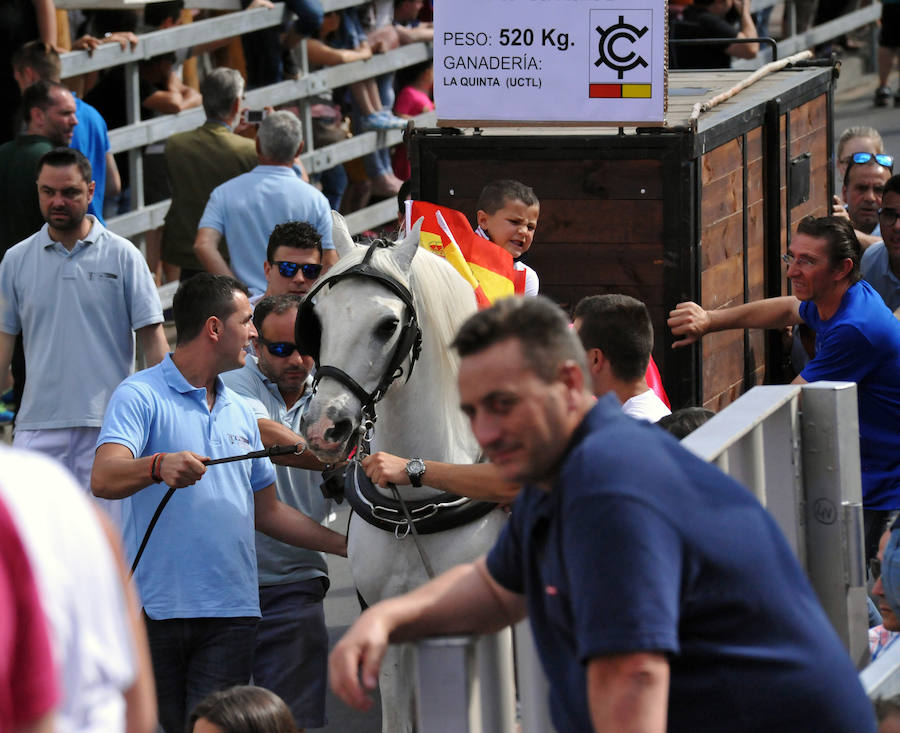 Toro de la Feria de Medina del Campo