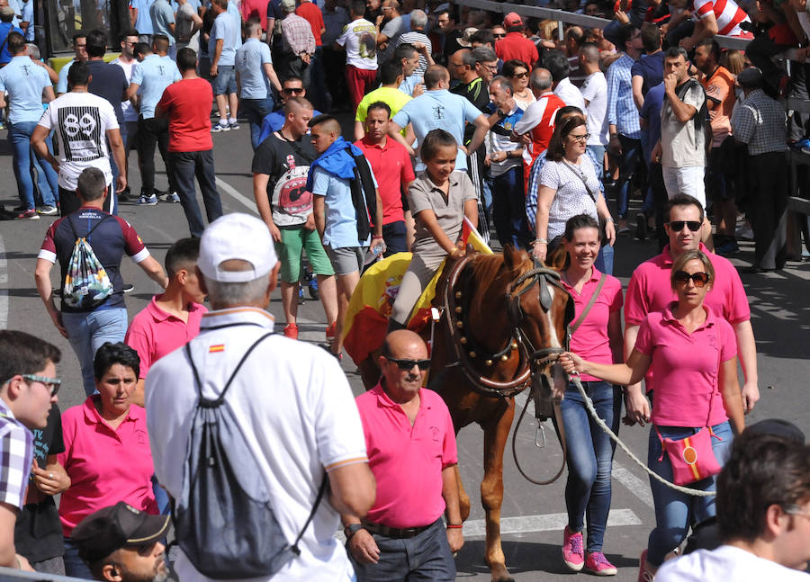 Toro de la Feria de Medina del Campo