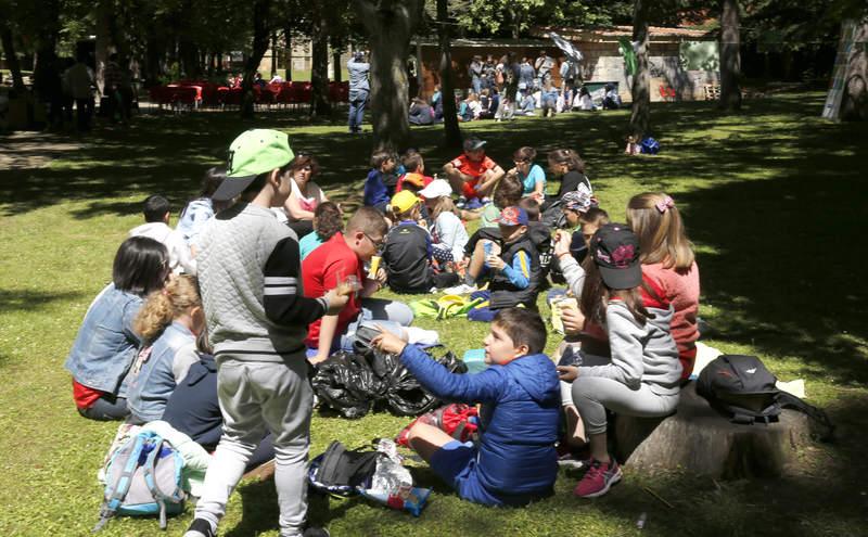 Día del Medio Ambiente en Palencia