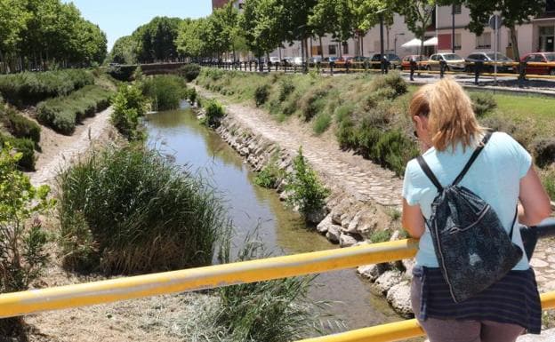 El Ayuntamiento de Valladolid ha iniciado una limpieza en profundidad del cauce del río Esgueva