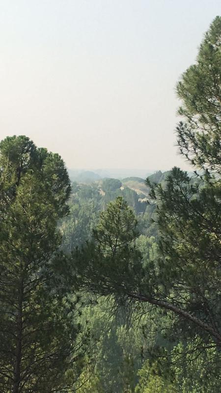 Imágenes del humo en Castilla y León por el incendio de Orense