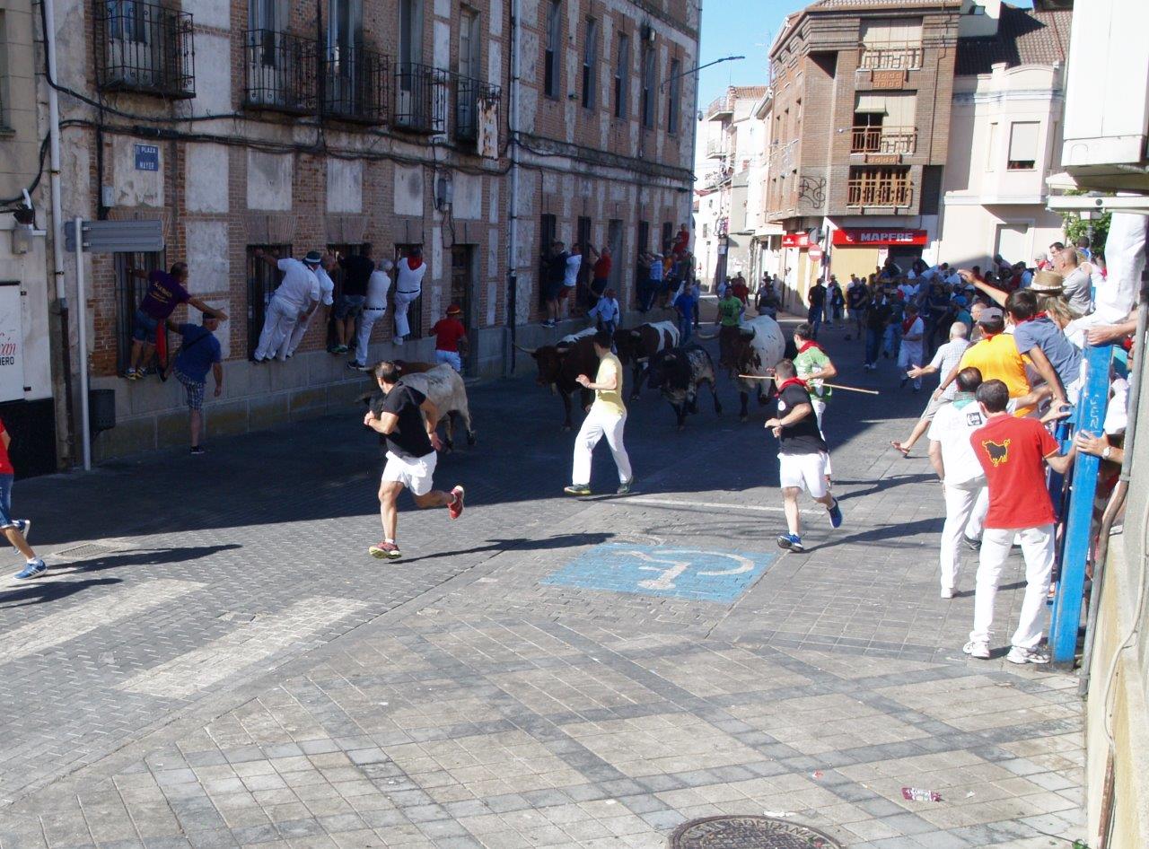 Encierro matinal del domingo en Íscar