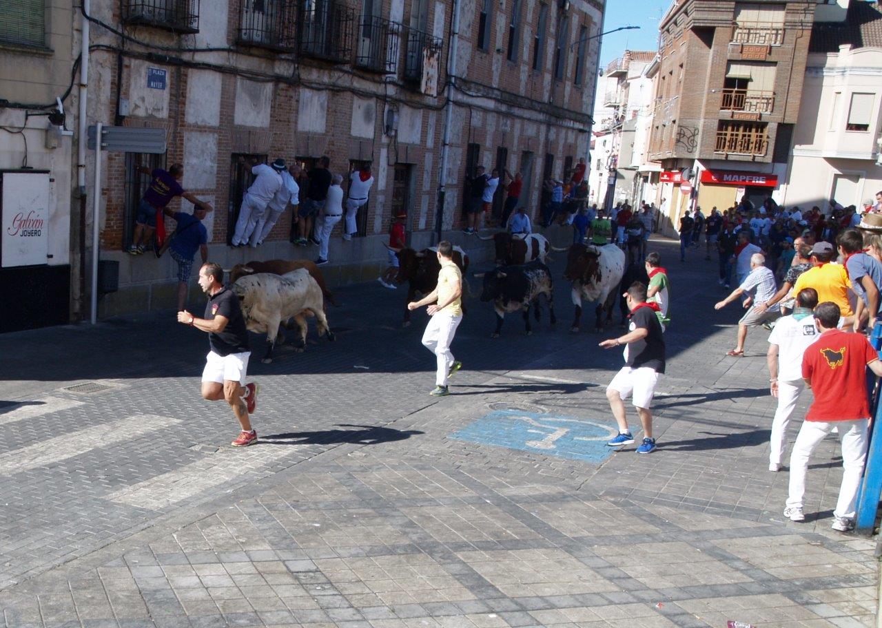 Encierro matinal del domingo en Íscar