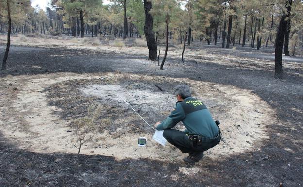 Un agente de la Guardia Civil inspecciona la zona tras el incendio de Nieva. 