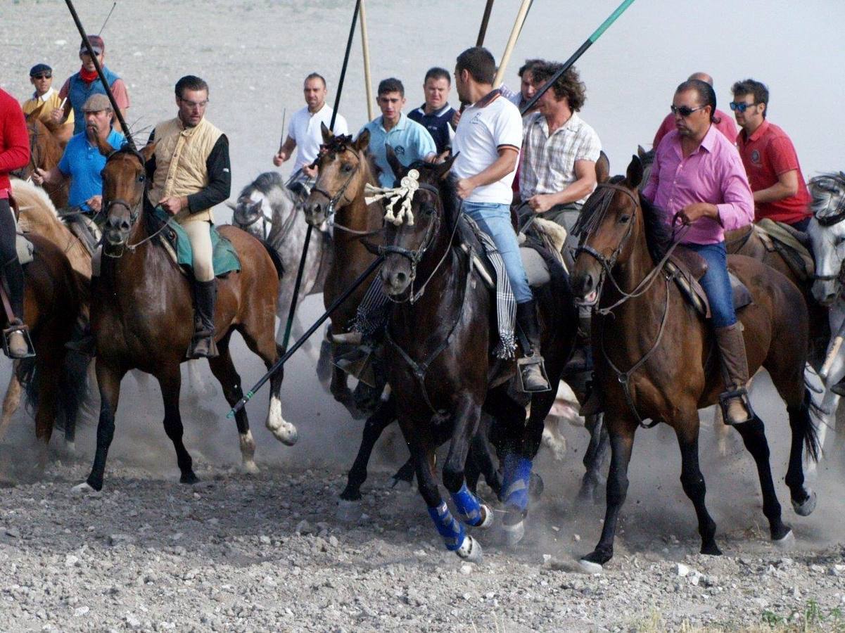 Segundo encierro campero de Íscar