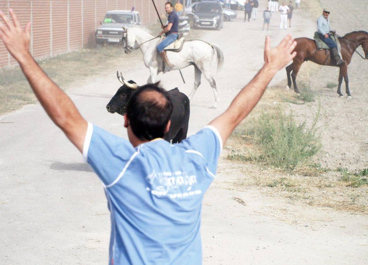 Segundo encierro campero de Íscar