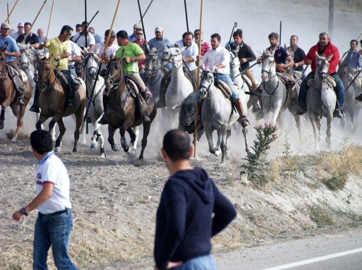 Segundo encierro campero de Íscar