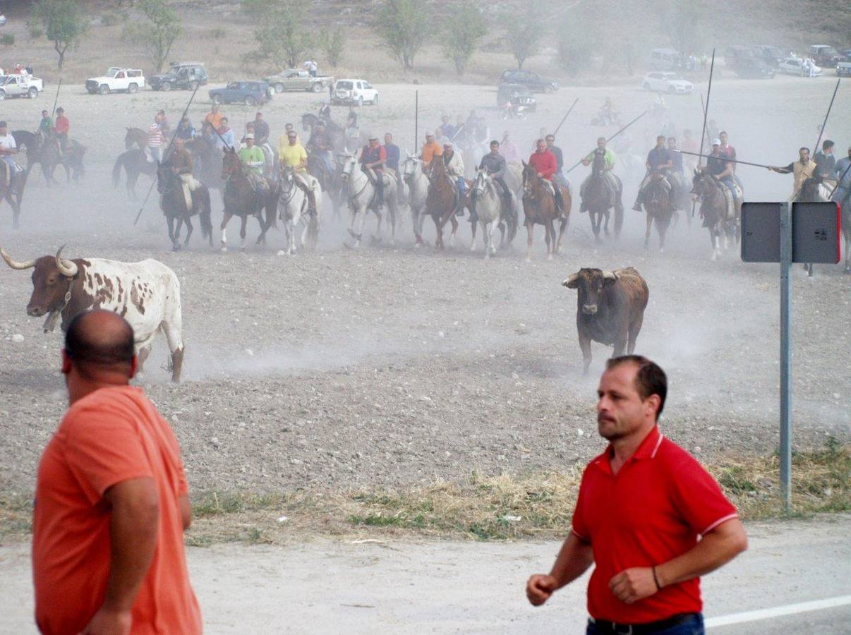Segundo encierro campero de Íscar