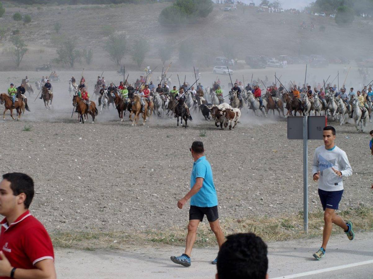Segundo encierro campero de Íscar