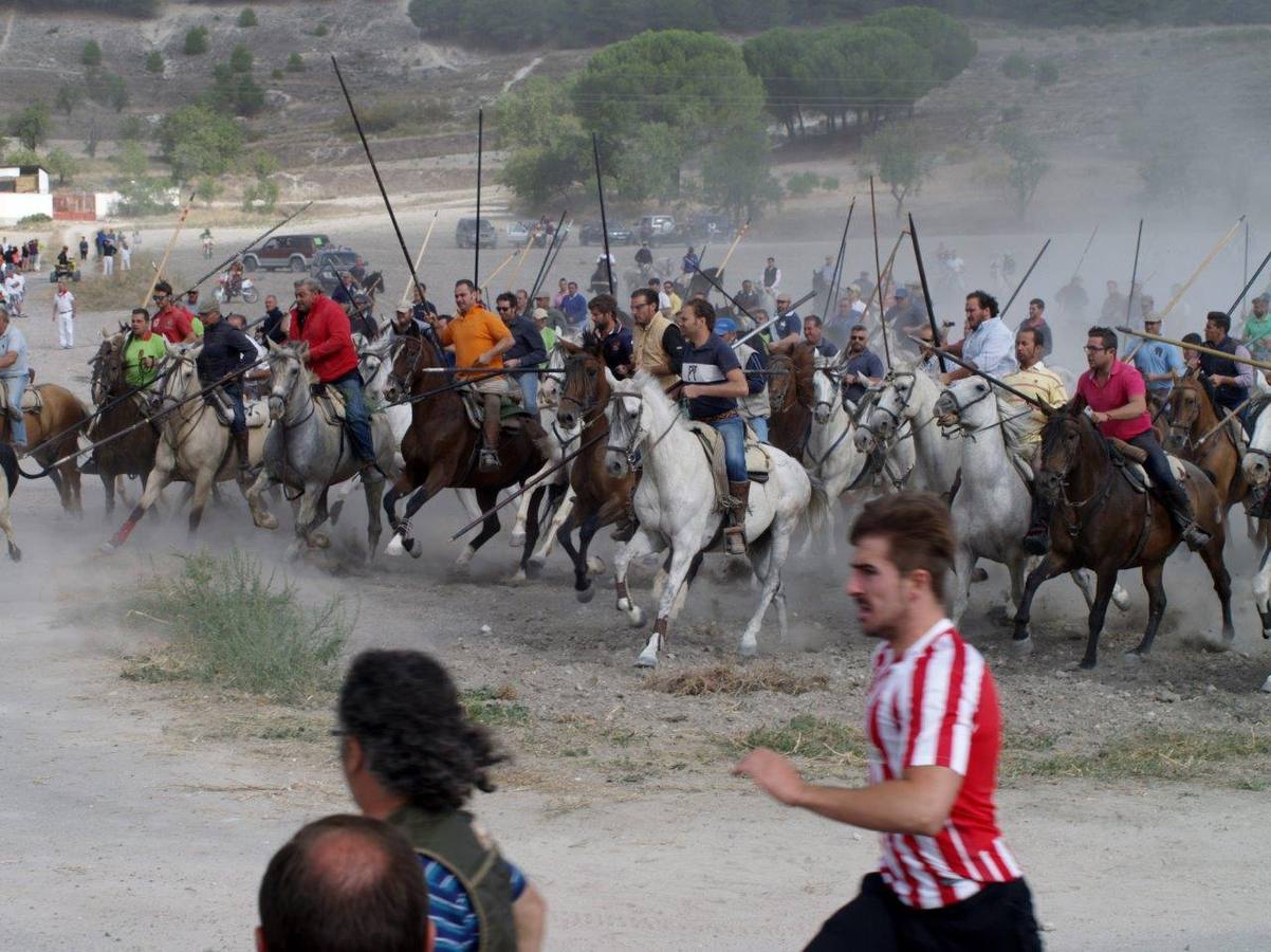 Segundo encierro campero de Íscar