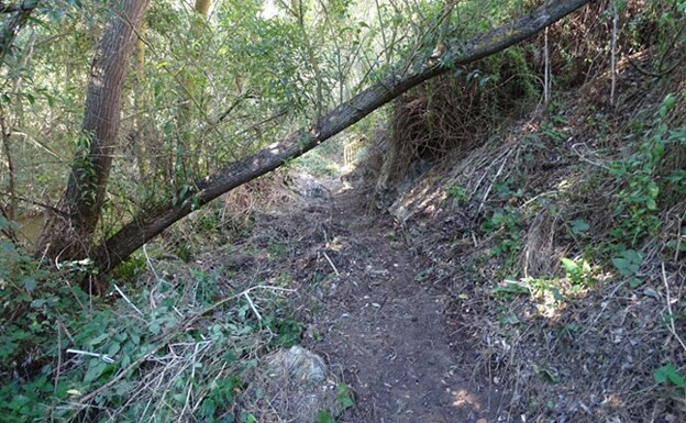 Sendero construido en la ribera del río Adaja.