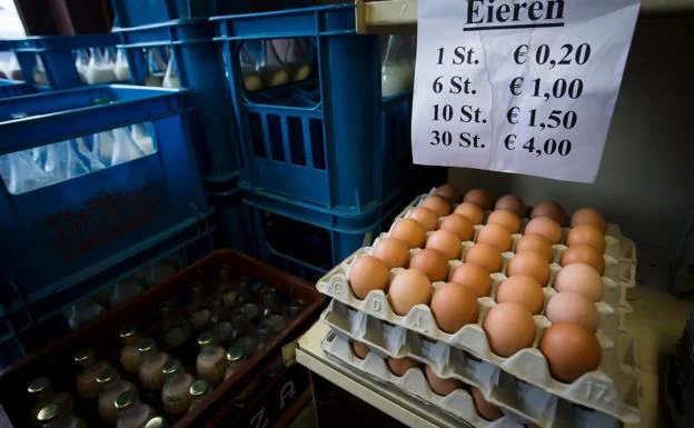 Huevos a la venta en Bélgica.