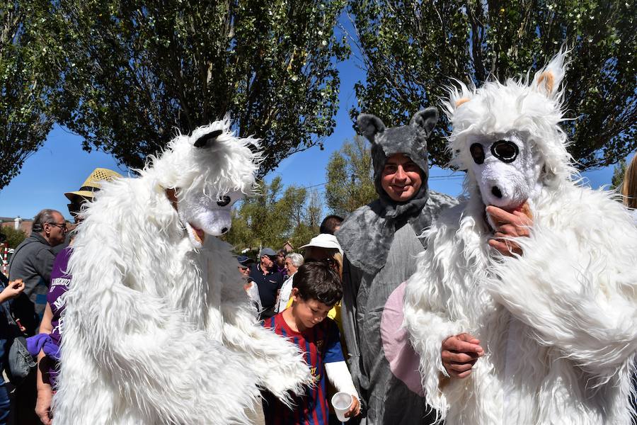La localidad palentina celebró la fiesta de su patrón, San Lorenzo con un gran recorrido por las calles