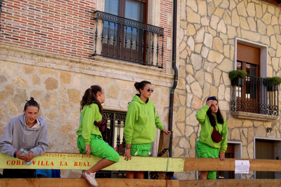 Torquemada vivió su jornada grande, con unos encierros que llevaron a las calles a jóvenes y mayores para disfrutar de los novillos. 