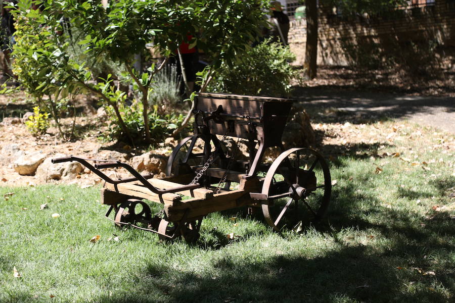 Castrillo de Villavega homenajeó al Cid durante la celebración de la Fiesta de la Trilla que se celebró el sábado 12.