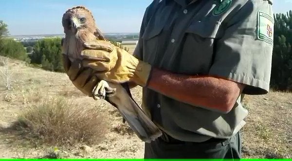 El rapaz se encontraba dentro de un lavadero