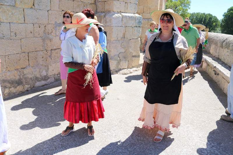 Siete profesionales del pan han acudido a la cita celebrada en la localidad palentina de Cobos de Cerrato